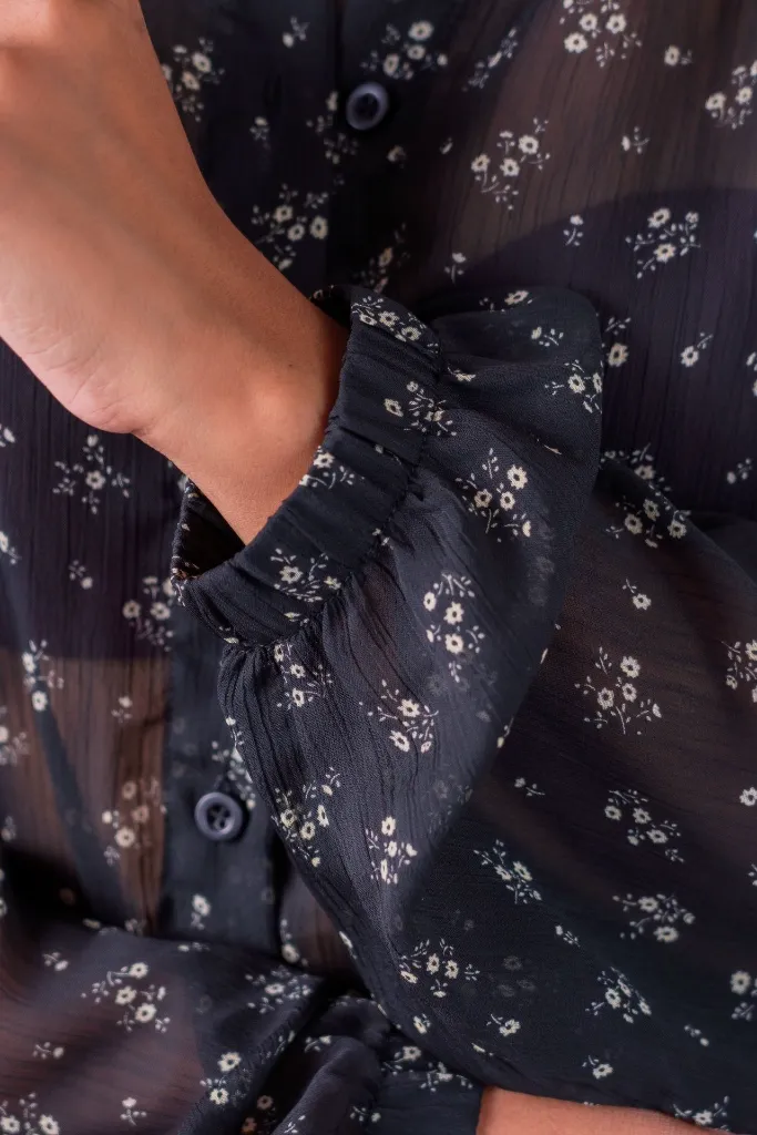 BIV04214.webp